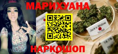 сатива Будённовск