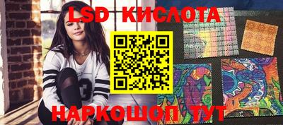 сатива Будённовск