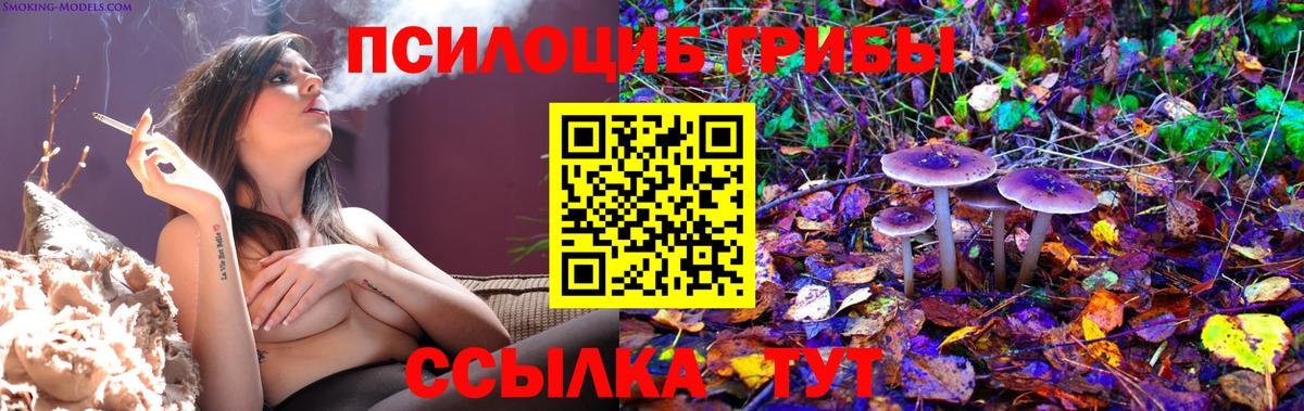 Псилоцибиновые грибы Psilocybine cubensis Коркино